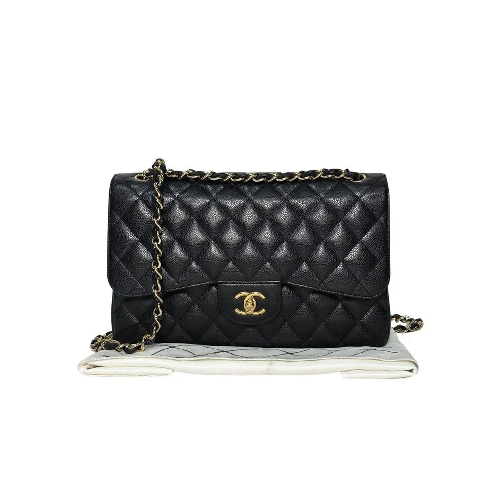 Chanel “Métiers d’Art” Shoulder Bag