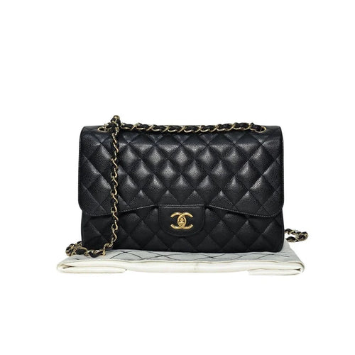Chanel “Métiers d’Art” Shoulder Bag
