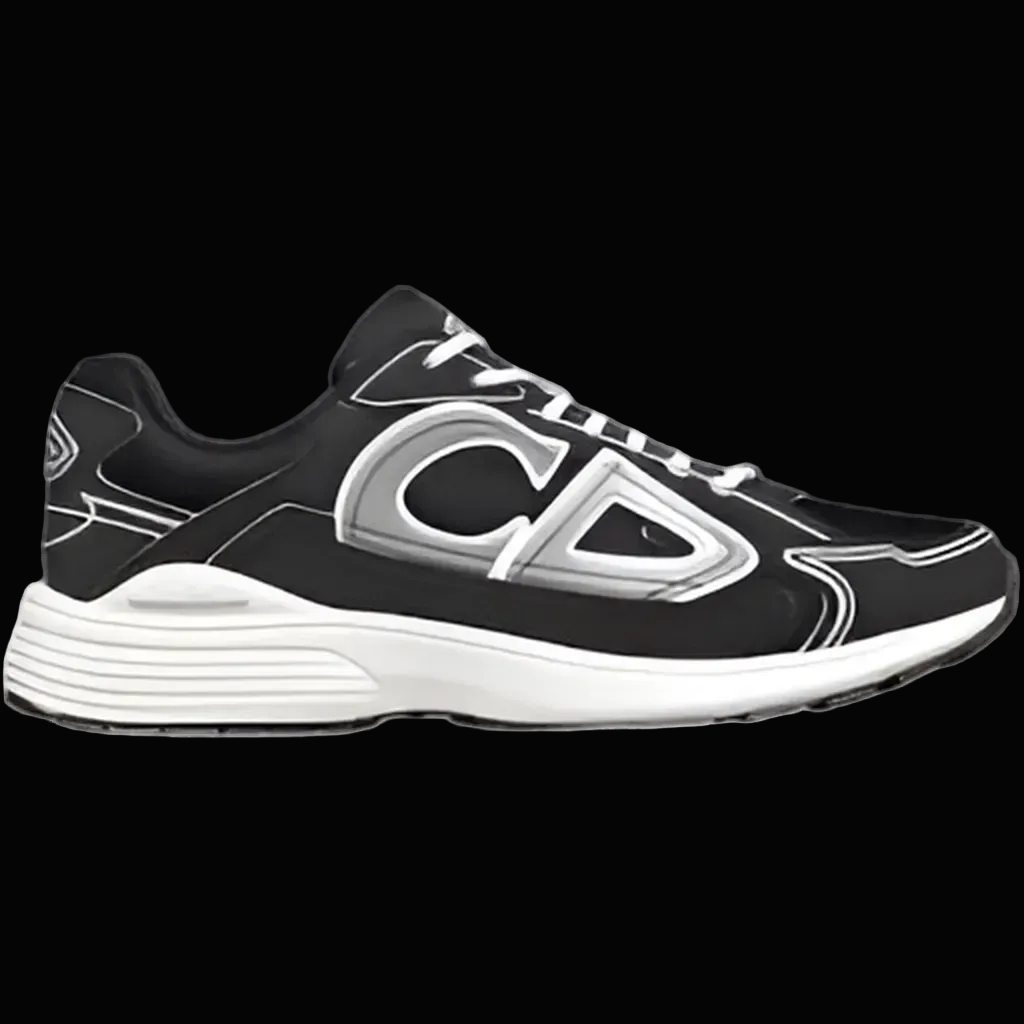 Dior b30 black & white