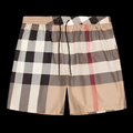 Burberry Swim Shorts